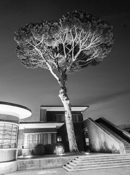 Roman trees
